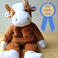 Ready for some “Moolah”?! Moolah