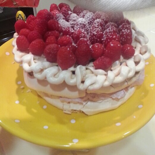 Vacherin with Chocolate and Raspberry Cream