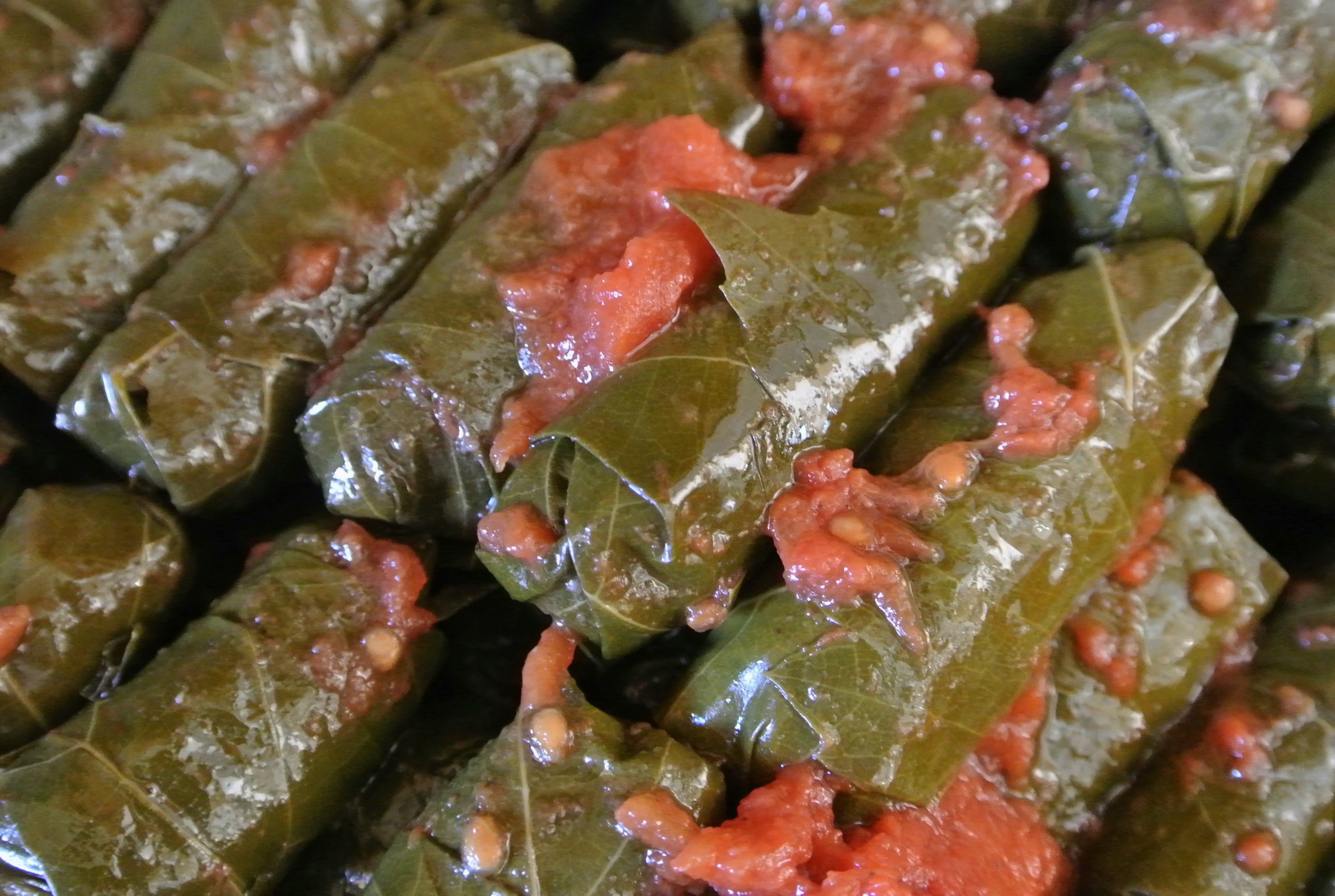 Another Word For Stuffed Grape Leaves